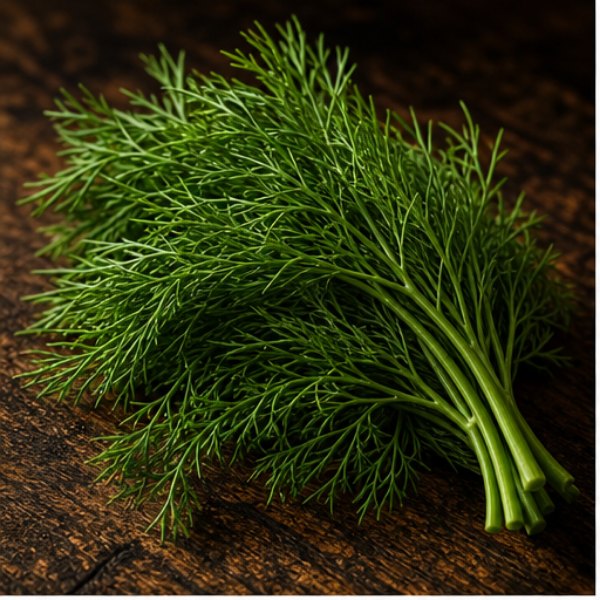 Dill